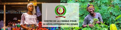 to validate the Strategic Plan 2023-2027 of the ECOWAS Gender Development Centre.